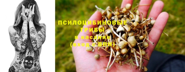 мет Арсеньев
