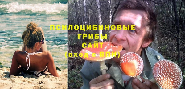 бошки Армянск
