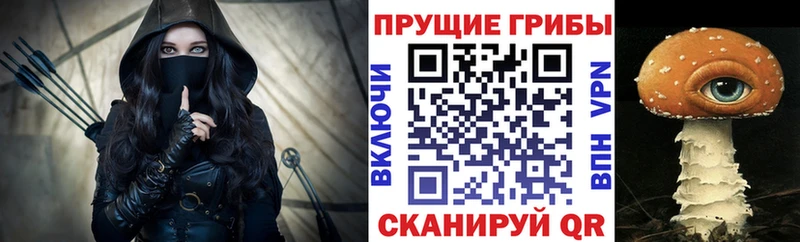 магазин  наркотиков  Тында  Галлюциногенные грибы мицелий 